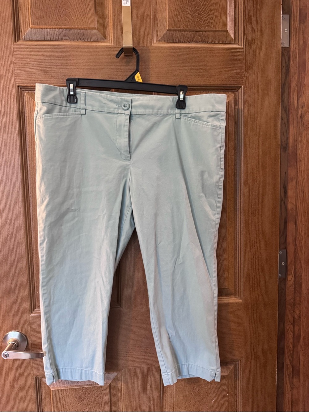 Women’s Ann Taylor LOFT Light Aqua Original Crop Pants Size 14P